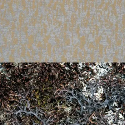 fiber14-6